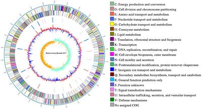 Genetic and Biochemical Evidence That Enterococcus faecalis Gr17 Produces a Novel and Sec-Dependent Bacteriocin, Enterocin Gr17